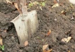 Muniţie în stare activă găsită în timp ce săpa grădina