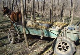 Captură record de ţigări la frontiera de Est - Peste 60.000 pachete de ţigări de contrabandă confiscate - FOTO