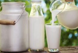 Cum ajunge laptele de la 80 de bani litrul la poarta fermei la 4 lei litrul în supermarket!