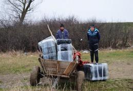 Poliţiştii de frontieră au depistat un transport de peste 7.800 pachete de ţigări într-o căruţă - FOTO