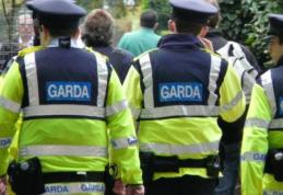 Actiune a poliţiştilor de ordine publică. Amenzi de peste opt mii lei aplicate traficanților de materiale lemnoase!