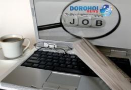 AJOFM Botoșani anunță locurile de muncă și programele de formare profesională disponibile