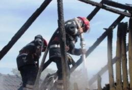 Rămaşi fără hrană şi adăposturile pentru animale în urma unor incendii