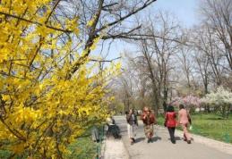 ANM: Temperaturile urcă la 24 grade Celsius până pe 1 aprilie, pe arii restrânse, ploi slabe cantitativ