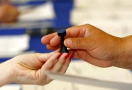 Judeţul Botoşani va avea cu patru consilieri locali mai puţin după alegerile din vară