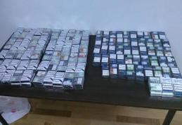 Țigări ascunse depistate de câinele polițist Nafaxa la Dorohoi - FOTO