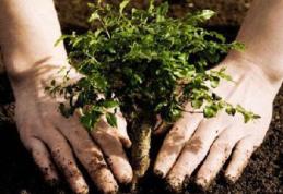 Primăria Dorohoi vă invită la tradiționala campanie de plantare de pomi sub sloganul „Te iubesc Dorohoi” 