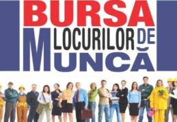Peste 500 locuri de muncă oferite până la această oră la bursa generală a locurilor de muncă din acest an!