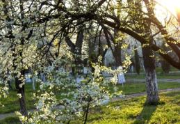 Parcă suntem în mijlocul verii - se anunță deja 32 de grade Celsius