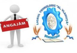 Liceul Tehnologic „Alexandru Vlahuță” Șendriceni angajează. Află ce se caută!