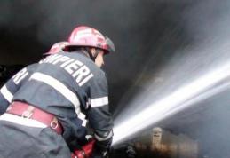 Adăpost de animale incendiat din joacă!