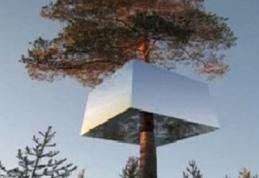 Un hotel inedit, cu camere suspendate în copaci, fascinează turiştii în Suedia