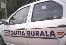 Poliţia rurală, un concept ce va fi implementat în 3 luni