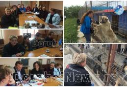 Proiect dedicat cățeilor din Dorohoi derulat de patru asociații din Botoșani, Olanda și Germania - FOTO