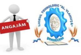 Liceul Tehnologic „Alexandru Vlahuță” Șendriceni scoate la concurs un post contractual