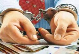 O femeie de 75 de ani din Dorohoi, trimisă în judecată pentru evaziune fiscală