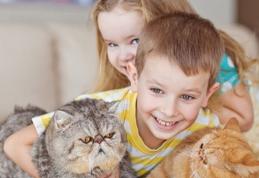 Ce se întâmplă dacă înghiți păr de animale?