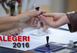 AEP: Vezi lista cu preşedinţii şi locţiitorii secţiilor de votare din județul Botoşani