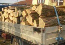 Lemn fără documente legale confiscat de poliţiştii de frontieră dorohoieni