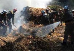 30 tone de furaje distruse din joacă. Un copil de partu ani s-a jucat cu chibriturile!