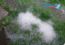 Grindina a făcut pagube la Pomârla: Culturi distruse și gpspodării inundate - FOTO