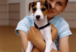 De ce este bine sa ai un animal de companie?
