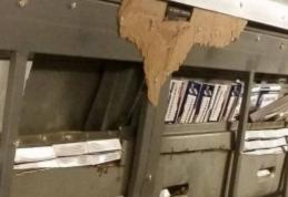 Zeci de mii de comprimate cu substanțe anabolizante, ascunse într-un microbuz 