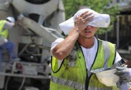 Inspectorii ITM Botoșani atenționează angajatorii. Vezi ce măsuri sunt obligatorii!