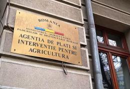 Atenție dorohoieni! APIA anunță că a început controlul la dosarele pentru subvențiile fermierilor