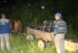 Contrabandă cu căruţa pe malul Prutului 