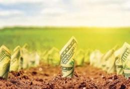 Anunțul directorului APIA pentru fermierii care așteaptă banii pe agromediu!