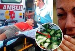 Șocant! Fiul ei a fost otrăvit de această plantă! Multe familii o au în casă. Ce trebuie să știi despte ea