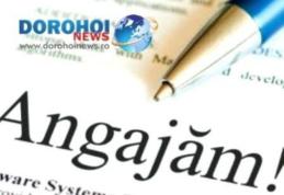 Liceul „Regina Maria” Dorohoi caută șofer! Vezi condițiile de participare la concurs!