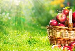 Instituția Prefectului Botoșani: Noi linii de finanţare lansate pentru agricultori