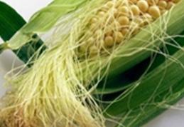 Motive pentru care trebuie să păstrezi mătasea porumbului și să o consumi