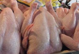 Pui ucraineni crescuţi în fermele de lângă Cernobîl, invadează piaţa europeană