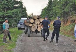 Vrei să reclami un transport ilegal de lemne? A fost lansată aplicația „Inspectorul Pădurii” pentru utilizatorii de smartphone