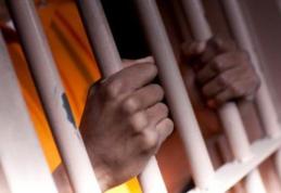 Tânăr încarcerat în Penitenciarul Botoșani pentru infracțiunea de furt