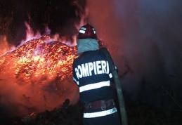 Adăpost de animale distrus într-un incendiu provocat cu intenţie