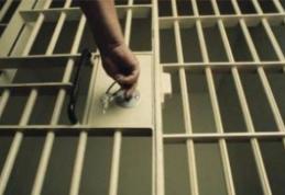 Piroman care avea mandat de arestare preventivă prins de polițiștii din Vorniceni