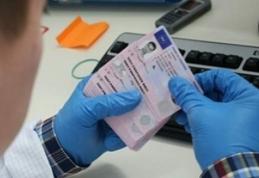 Permis de conducere moldovenesc fals, depistat la frontieră