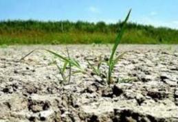 Prefectul Dan Nechifor recomandă producătorilor afectaţi de condiţiile meteo să solicite facilităţile fiscale prevăzute de lege