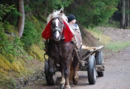 Copil de 2 ani acroșat de o căruță