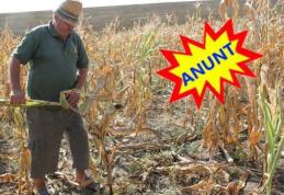 ANUNȚ important pentru deținători de terenuri agricole din Dorohoi!