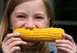 Așa faci cel mai bun porumb fiert: ingredientele „secrete” pe care trebuie să le adaugi în apă!