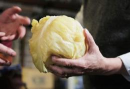 Legătura incredibilă dintre varza murată şi cancer. Nu s-a ştiut asta până acum