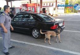 Cei doi tineri prinşi cu droguri la vamă au fost arestaţi preventiv pentru 30 de zile – VIDEO/FOTO