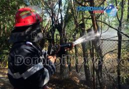 Incendiu izbucnit pe Aleea Victoriei din Dorohoi. Joaca unor copii a pus autoritățile în alertă - FOTO
