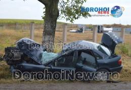 Accident pe drumul Dorohoi – Botoșani! Audi făcut zob după ce s-a izbit într-un copac - FOTO