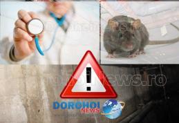 Primim la redacție – Apel către autorități: „Leptospiroza pândește din subsolurile cartierului Victoria”